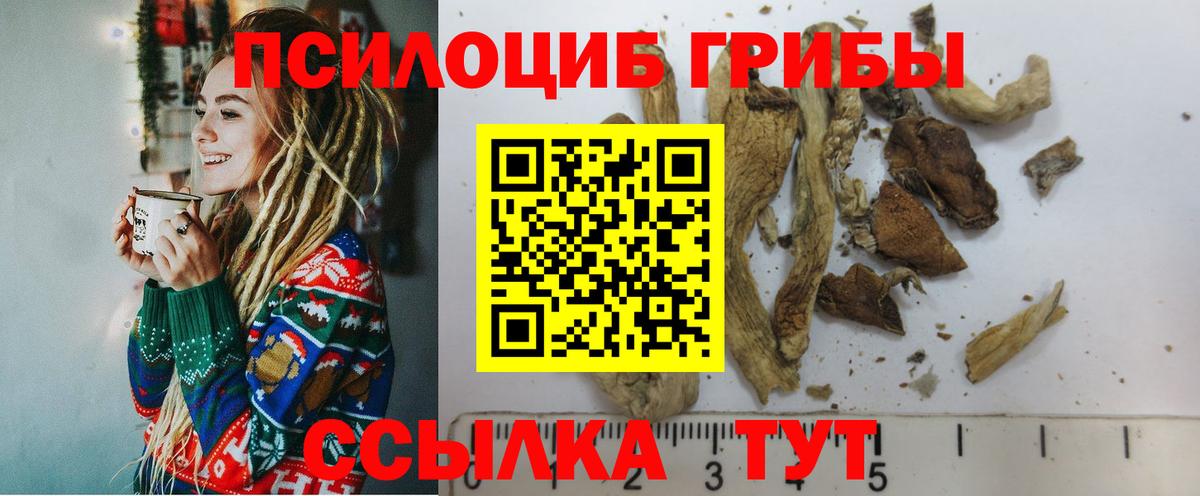 Псилоцибиновые грибы Psilocybine cubensis  Вход с VPN  Псилоцибиновые грибы Magic Shrooms  Петрозаводск 