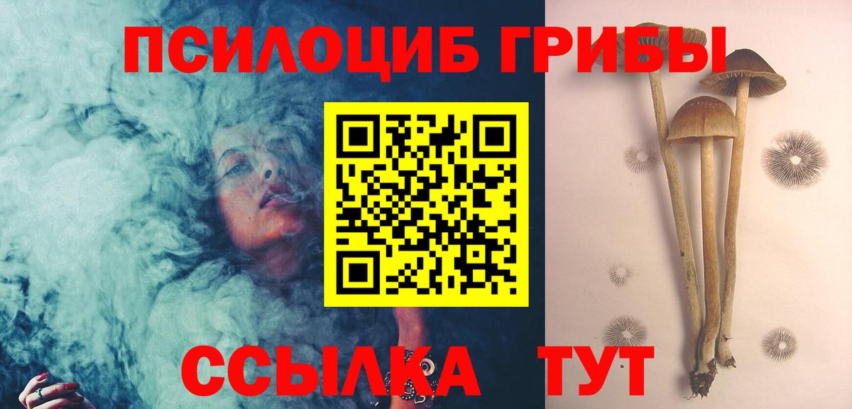 Галлюциногенные грибы ЛСД Петрозаводск